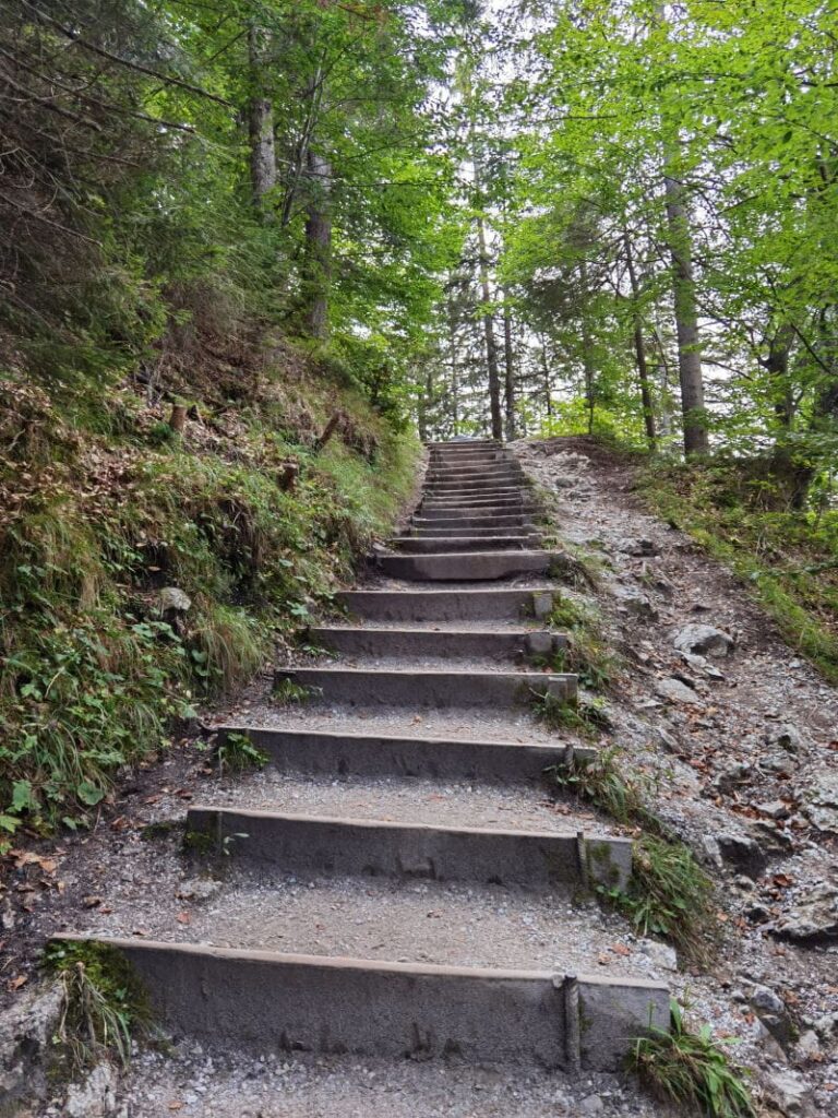 Hintersteiner See Rundweg mit Kinderwagen? Dann musst du hier hinauf!