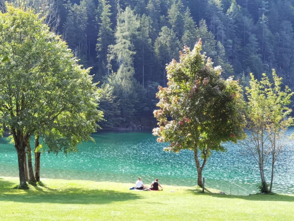 Hintersteiner See baden - das ist die offizielle Liegewiese