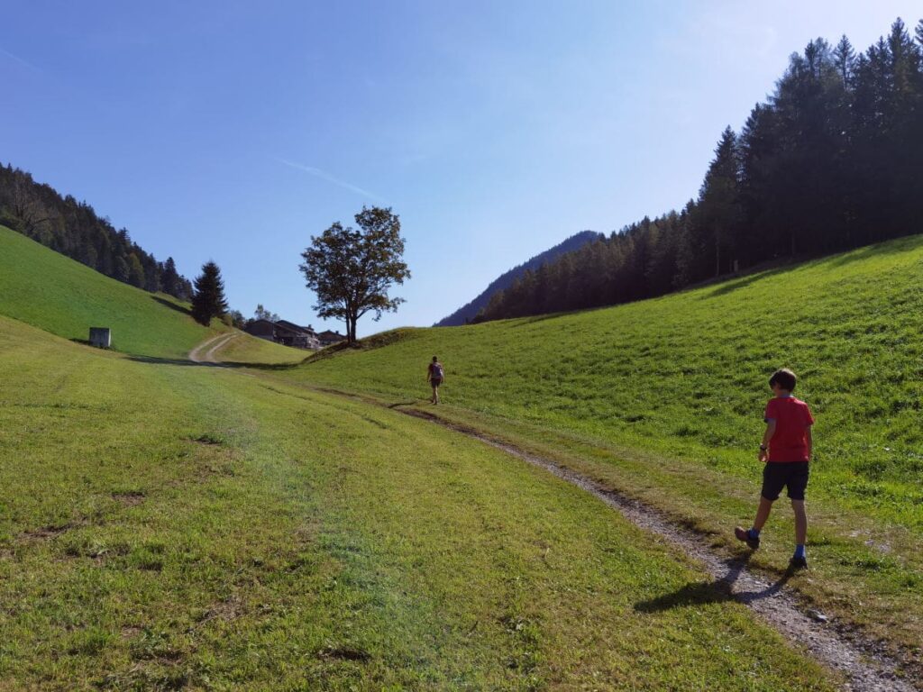 Oberhalb der Steinernen Stiege verläuft der Wanderweg über die Wiese