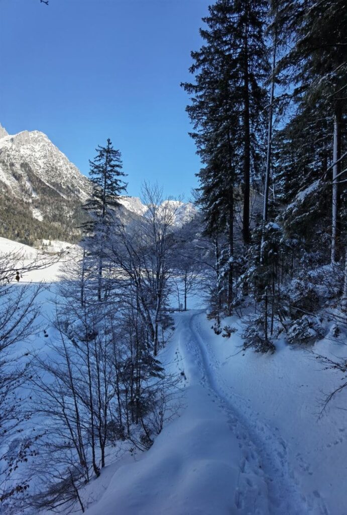 Rund um den Hintersteiner See Winterwandern - das ist der Steig am Südufer