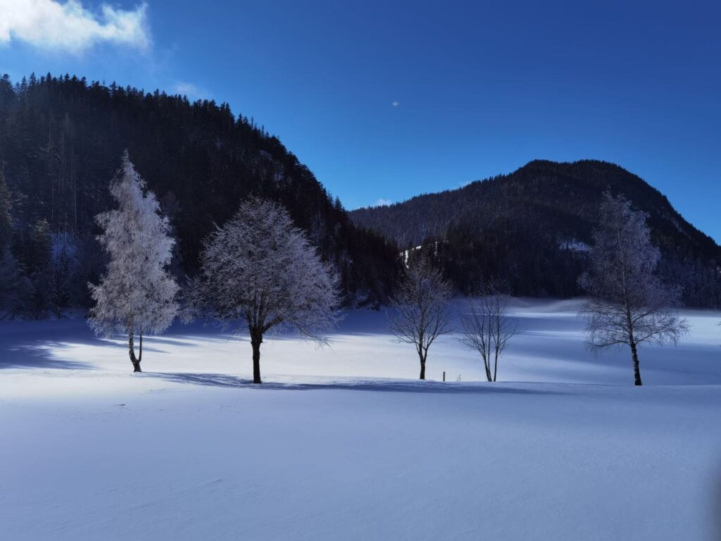 Der Hintersteiner See im Winter - im Sommer ist hier die Badewiese