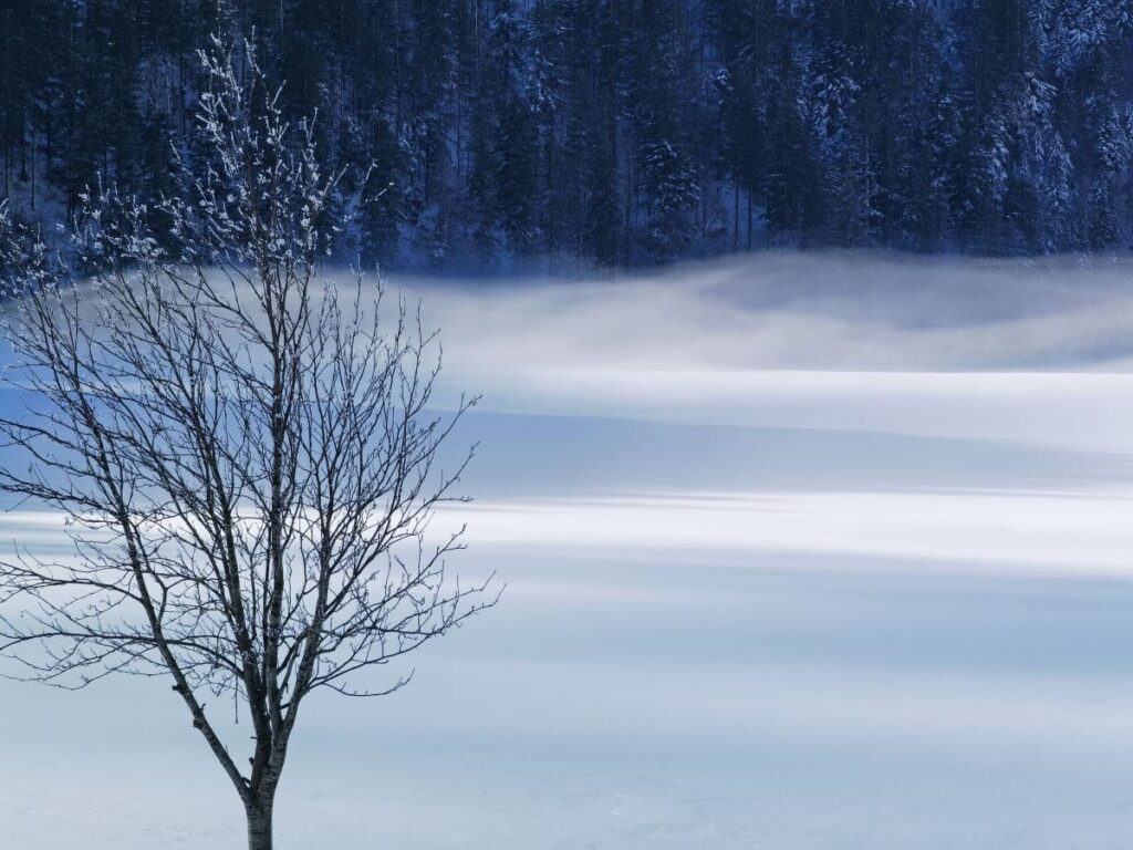 Hintersteinersee Winterstimmung - wenn der Nebel über dem gefrorenen Wasser steht